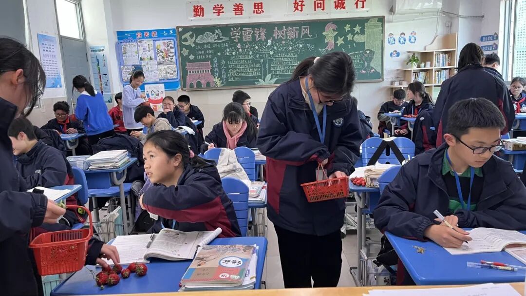 东吴外师附属实验中学师生东山雨花绿草莓哥采摘园遇见莓好
