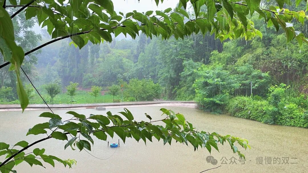 极简生活：我回到了乡下的家  第1张