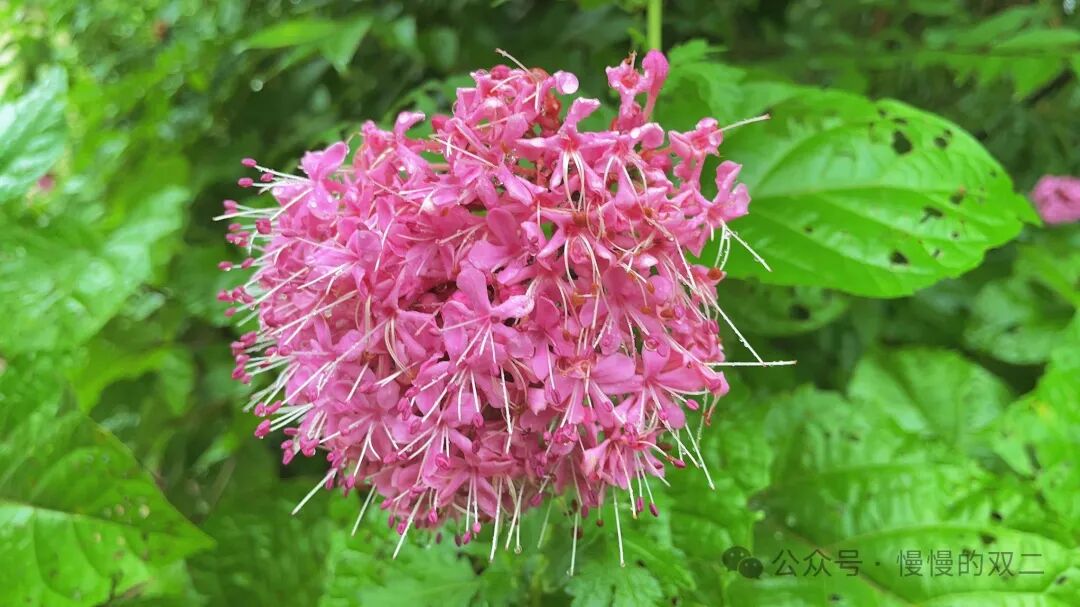 极简生活：我回到了乡下的家  第11张