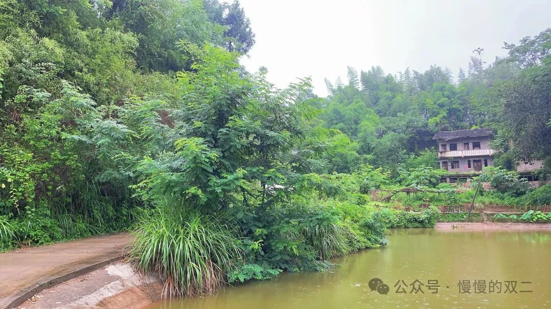 极简生活：我回到了乡下的家  第4张