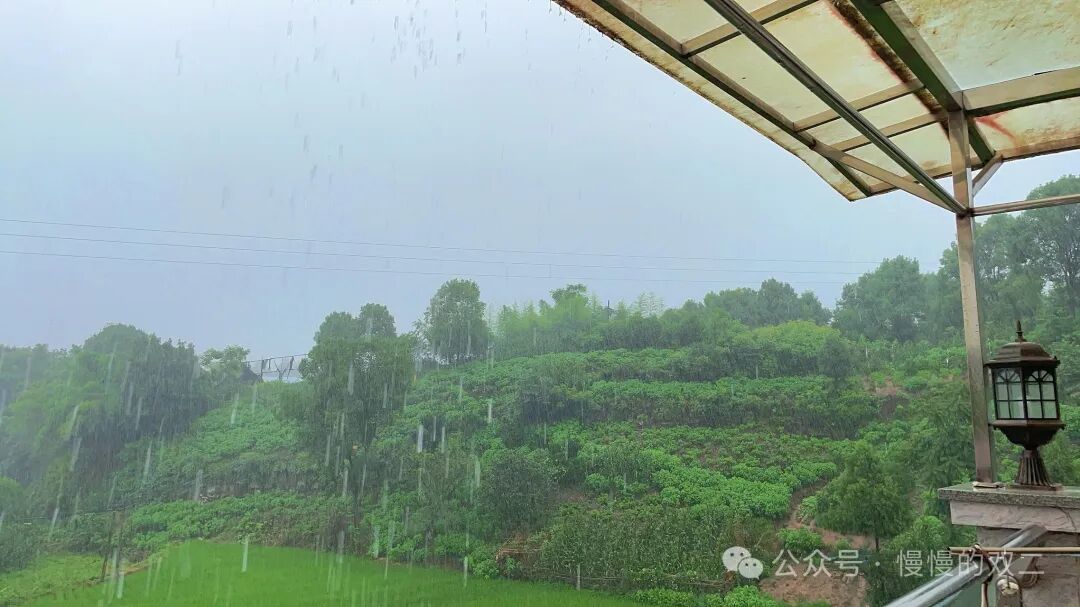 极简生活：我回到了乡下的家  第2张