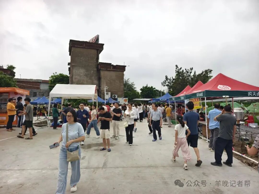 田间道路新铺了水泥，平坦宽阔