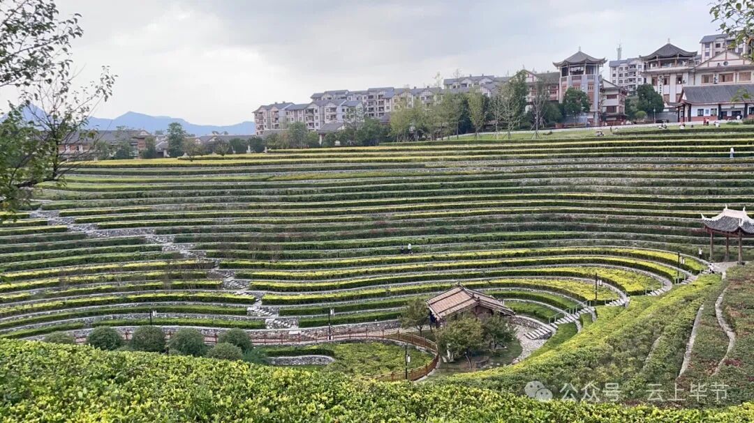 端午假期,毕节这些地方约起