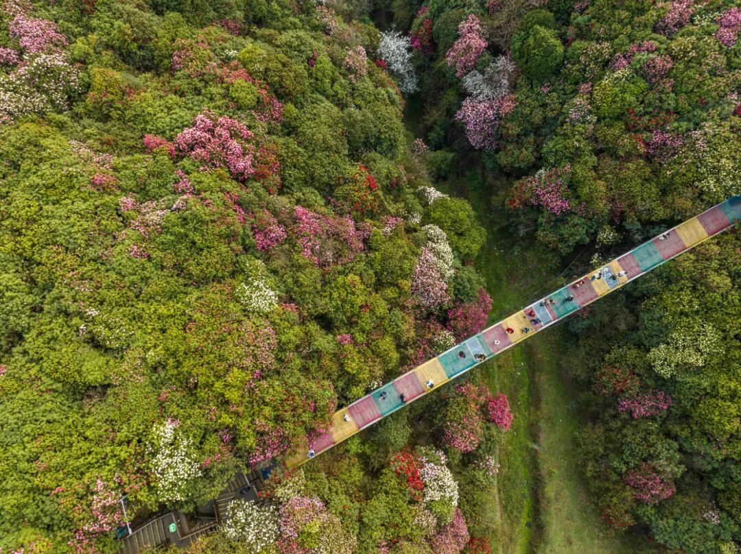 3月最佳旅行地 | 7元嗦粉、5元坐船、0元看花海，中国有的是好看又好吃的地方！
