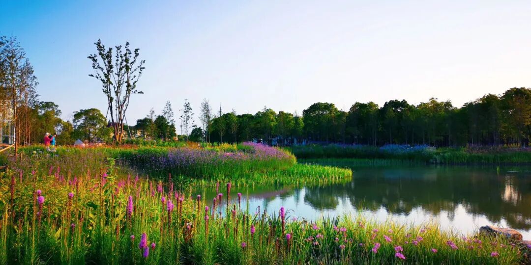 第30个世界水日来啦宝山的河湖生态怎么样