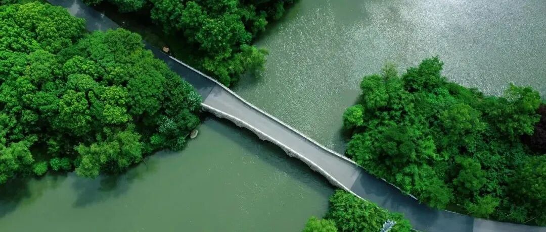 射线胶片怎么装指尖医生｜超实用！如何用手机拍摄清晰的医用X射线胶片？_https://www.jmylbn.com_新闻资讯_第10张