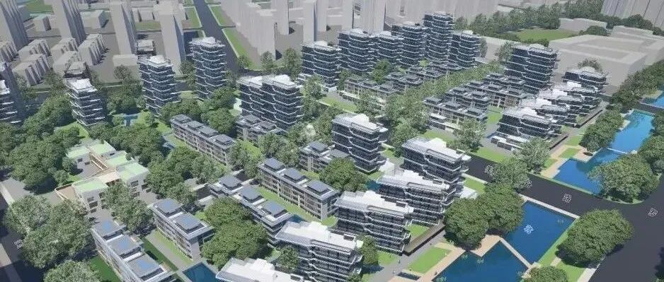 射线胶片怎么装指尖医生｜超实用！如何用手机拍摄清晰的医用X射线胶片？_https://www.jmylbn.com_新闻资讯_第9张