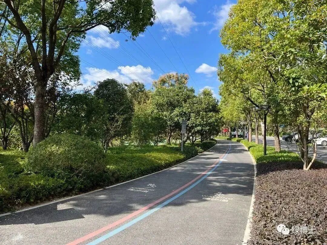 宝山这些新建绿道你走过吗?