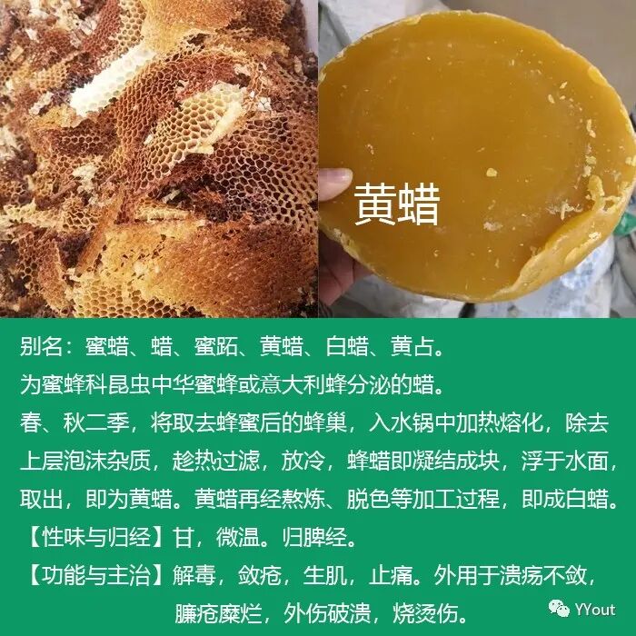 熬药袋怎么用【民间奇效偏方】《治肩周炎6方》实用+收藏_https://www.jmylbn.com_新闻资讯_第19张