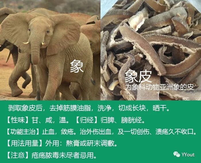 熬药袋怎么用【民间奇效偏方】《治肩周炎6方》实用+收藏_https://www.jmylbn.com_新闻资讯_第7张