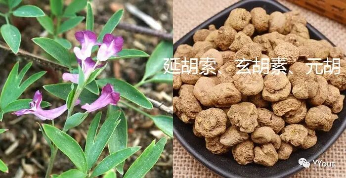 熬药袋怎么用【民间奇效偏方】《治肩周炎6方》实用+收藏_https://www.jmylbn.com_新闻资讯_第20张