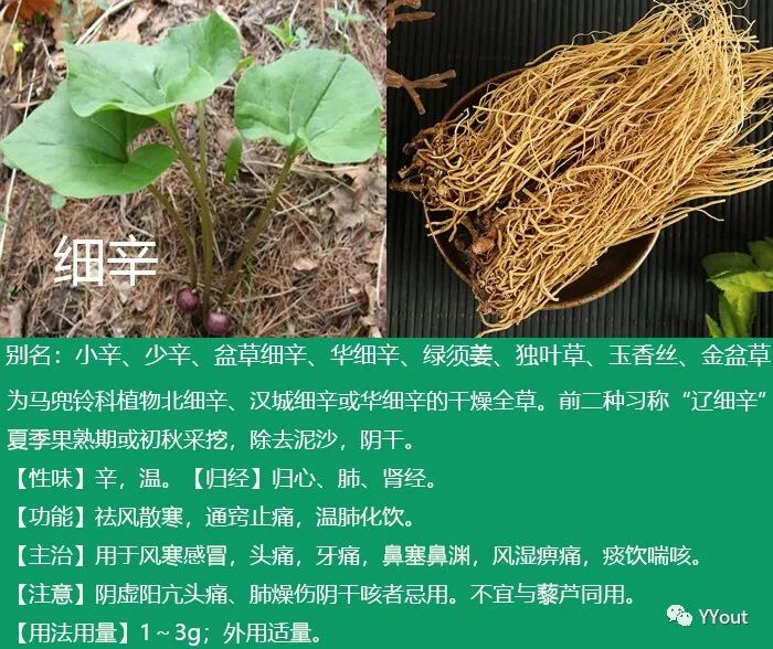 熬药袋怎么用【民间奇效偏方】《治肩周炎6方》实用+收藏_https://www.jmylbn.com_新闻资讯_第18张