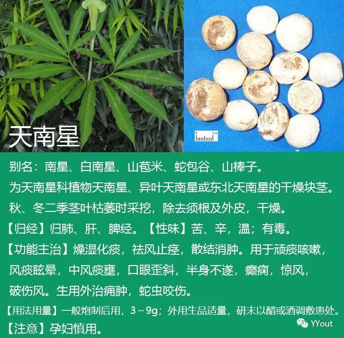 熬药袋怎么用【民间奇效偏方】《治肩周炎6方》实用+收藏_https://www.jmylbn.com_新闻资讯_第8张