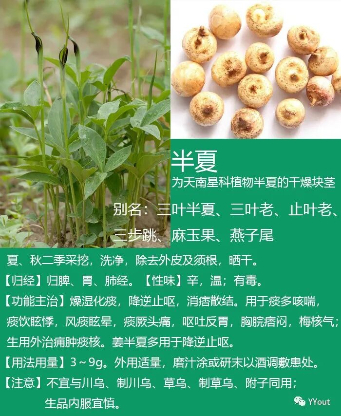 熬药袋怎么用【民间奇效偏方】《治肩周炎6方》实用+收藏_https://www.jmylbn.com_新闻资讯_第14张