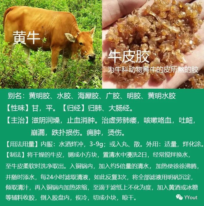 熬药袋怎么用【民间奇效偏方】《治肩周炎6方》实用+收藏_https://www.jmylbn.com_新闻资讯_第21张