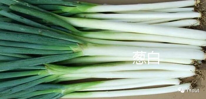 熬药袋怎么用【民间奇效偏方】《治肩周炎6方》实用+收藏_https://www.jmylbn.com_新闻资讯_第25张