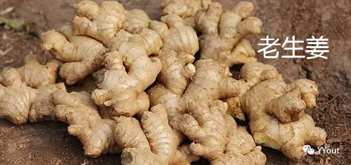 熬药袋怎么用【民间奇效偏方】《治肩周炎6方》实用+收藏_https://www.jmylbn.com_新闻资讯_第24张