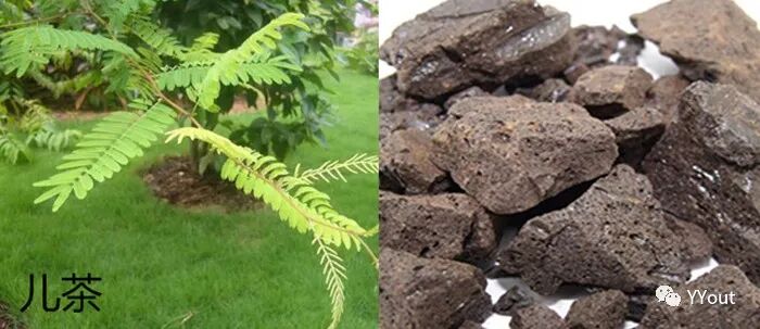 熬药袋怎么用【民间奇效偏方】《治肩周炎6方》实用+收藏_https://www.jmylbn.com_新闻资讯_第3张