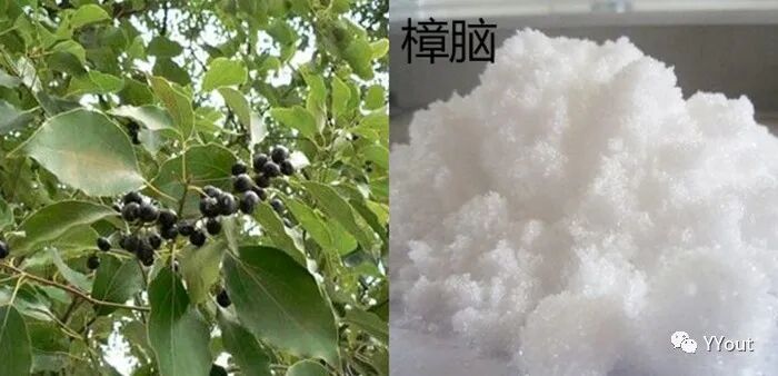 熬药袋怎么用【民间奇效偏方】《治肩周炎6方》实用+收藏_https://www.jmylbn.com_新闻资讯_第23张