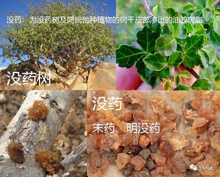 熬药袋怎么用【民间奇效偏方】《治肩周炎6方》实用+收藏_https://www.jmylbn.com_新闻资讯_第6张