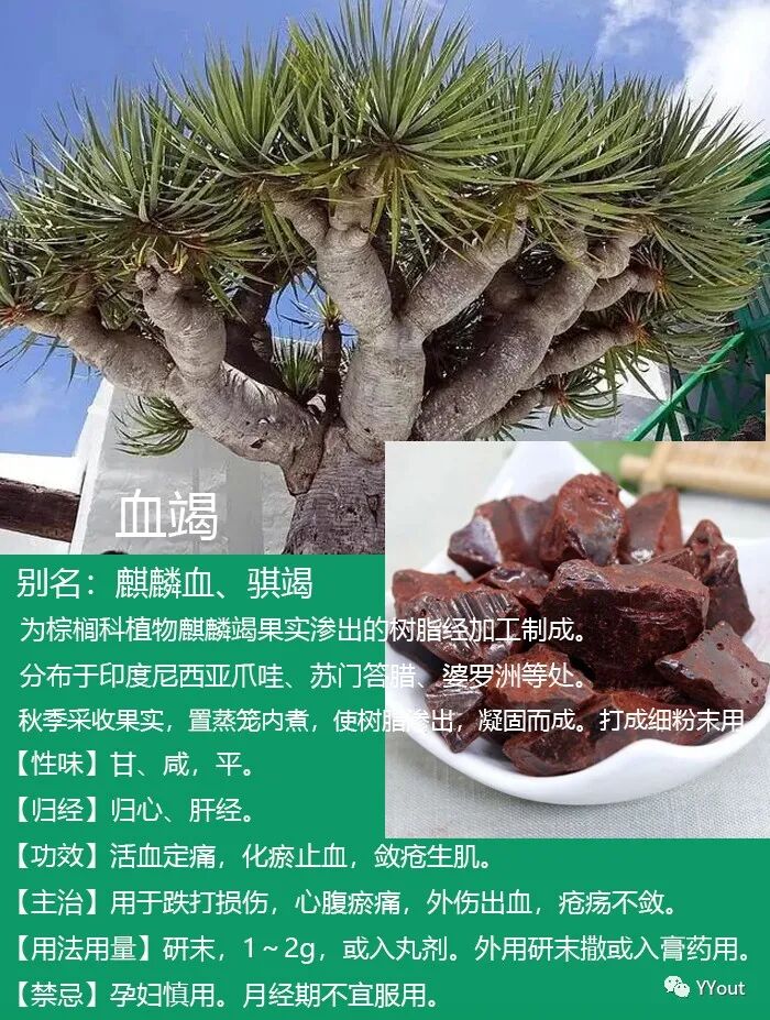 熬药袋怎么用【民间奇效偏方】《治肩周炎6方》实用+收藏_https://www.jmylbn.com_新闻资讯_第2张