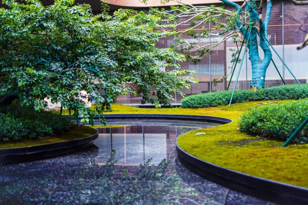 新政下，越秀天河和樾府上热门！