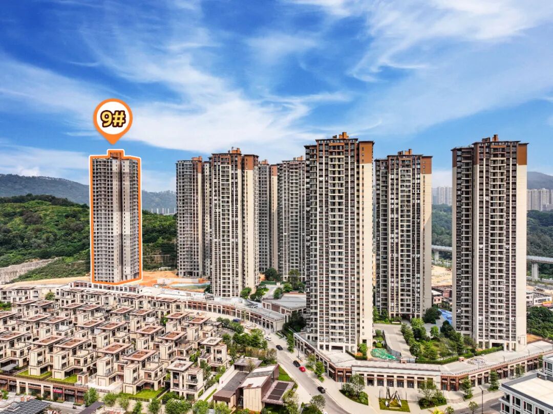增城金地半山风华加推，单价9字头值不值得买？
