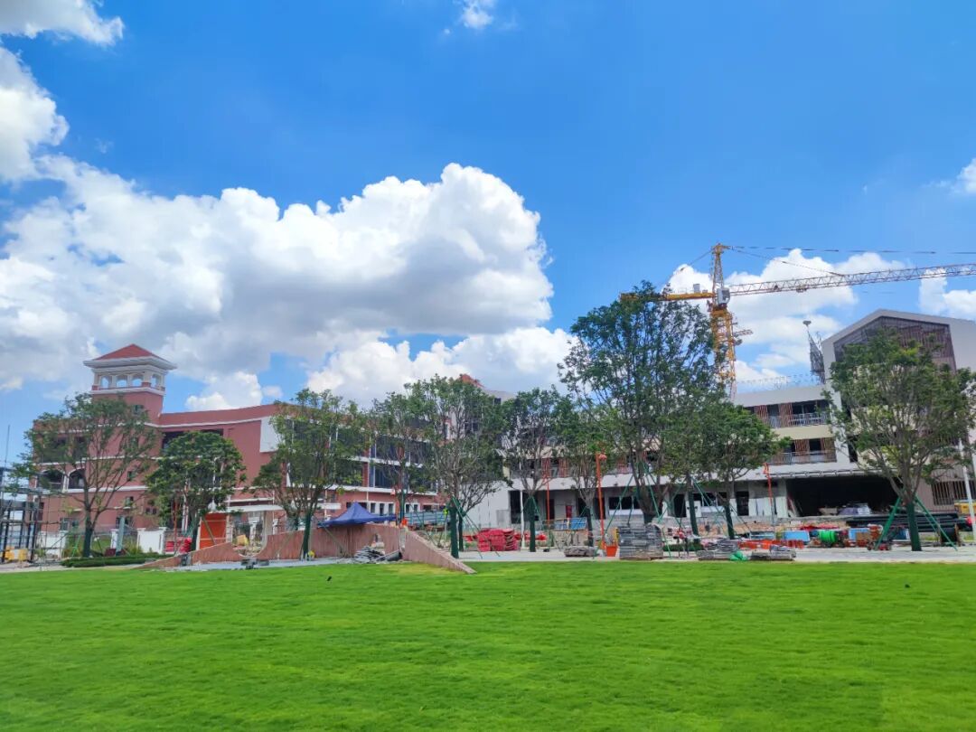 番禺越秀大学星汇锦城户型曝光、引入番中办学！