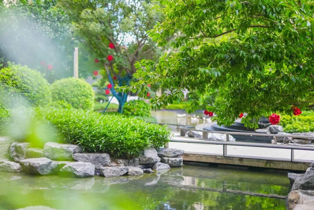 南沙佳兆业凤鸣山高层洋房新品加推，值不值得买？