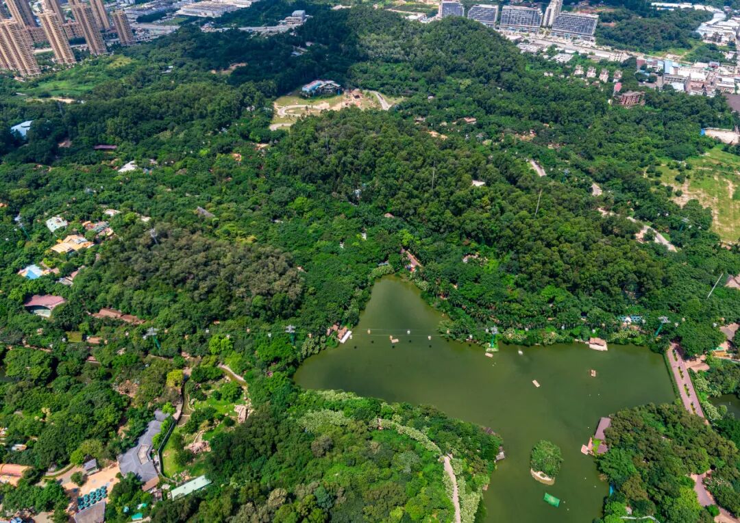 长隆万博悦府旁有哪些学校？项目打造约100-300㎡