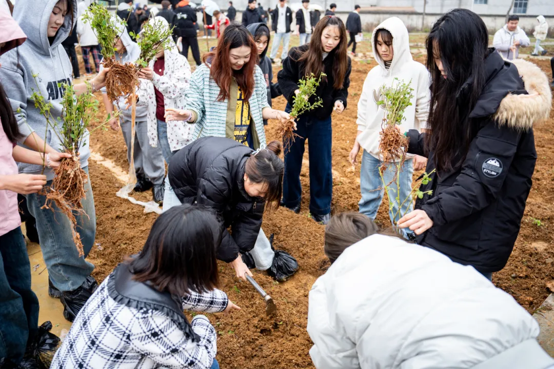 药学学子躬耕百草园 劳动教育浇灌“双苗”成长——我校药学院创新实践育人模式(图1) 20250312-DSC00830.jpg