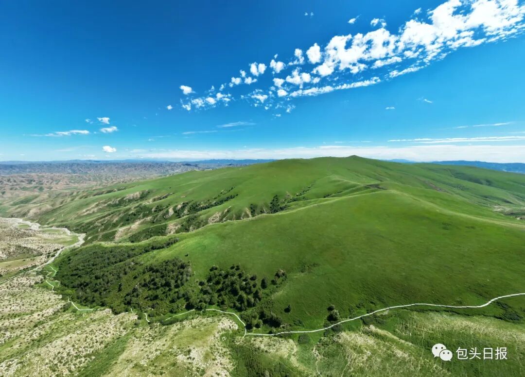 黄河"几字弯" 包头绿意浓
