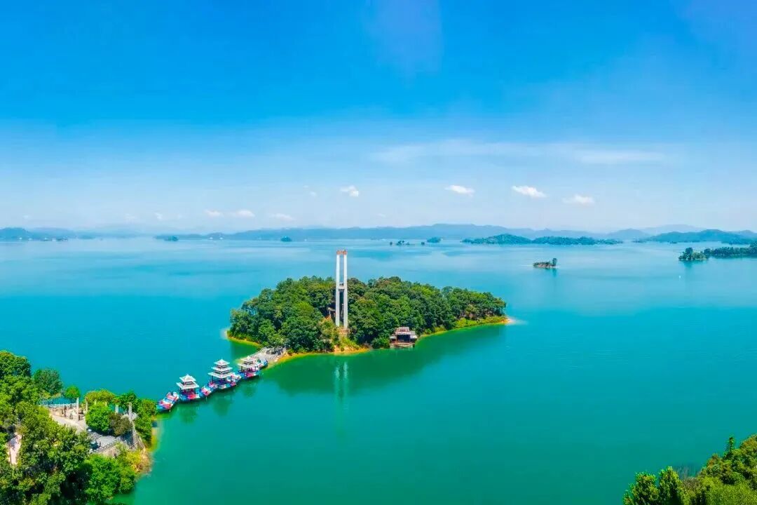 万绿湖.jpg