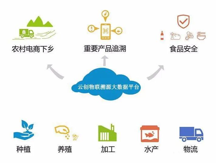 农产品电商定制服务_农产品电商方案策划书_农产品定制平台
