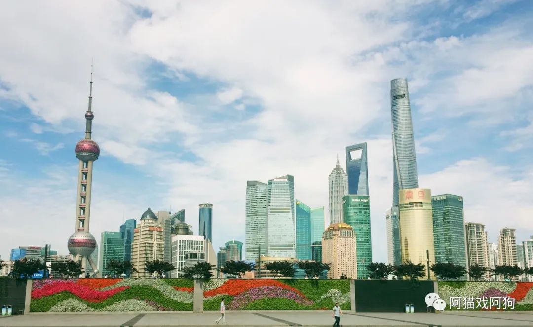 2025年上海旅游攻略：三日打卡魔都热门景点TOP10