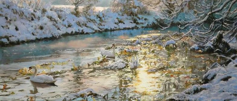 cover_image