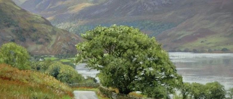 cover_image
