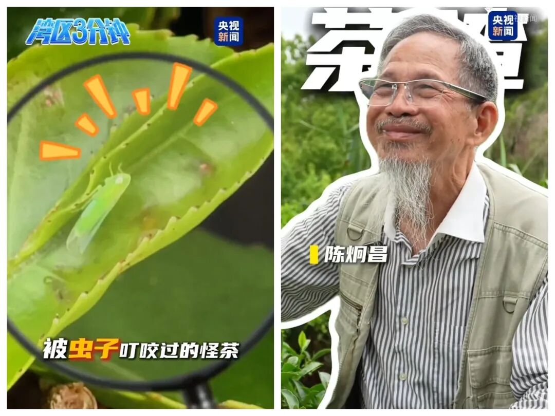 陈炯昌