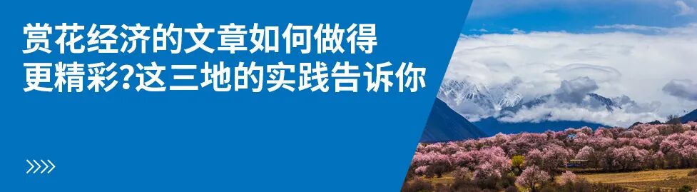 高度关注政协会议文旅之声！代表者常务委员们都重视什么样事？(图20)