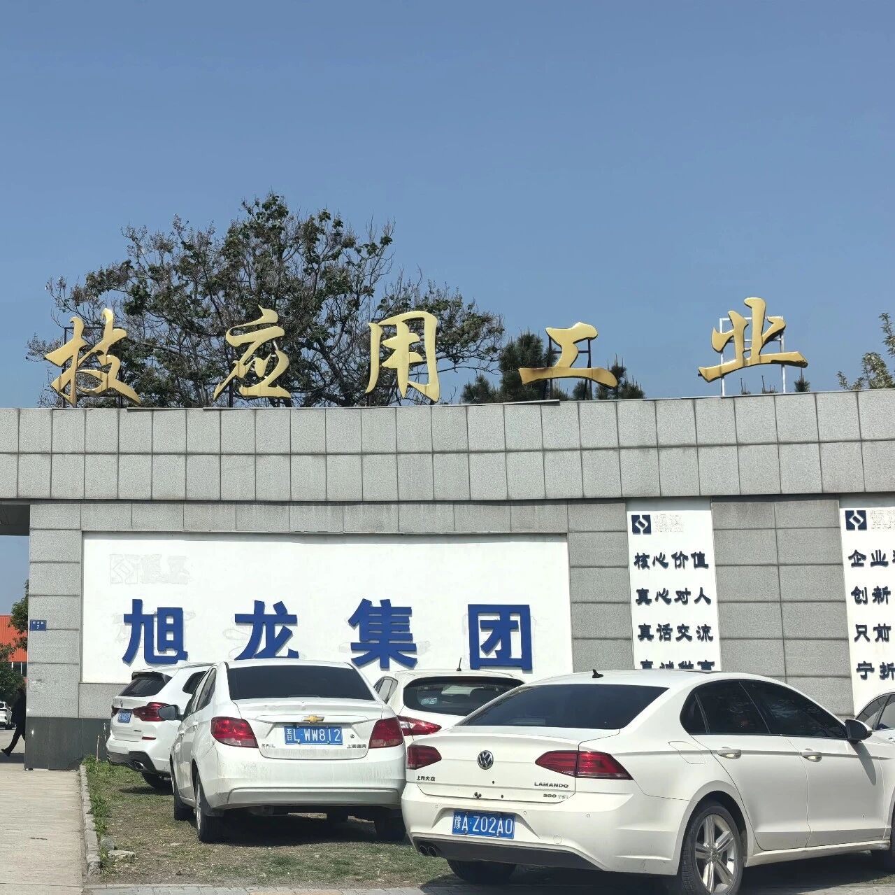 内容图片