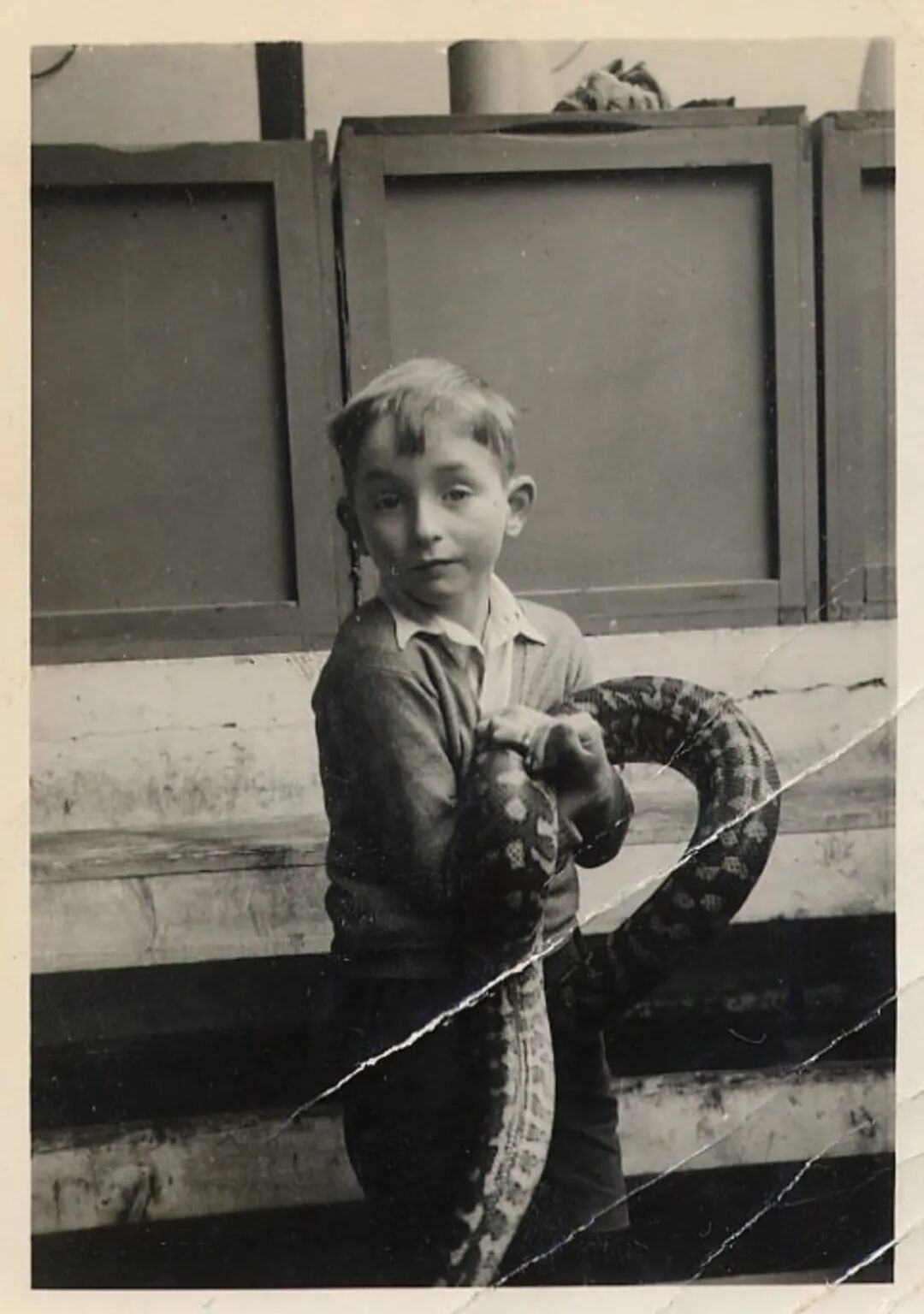 辛顿的冬与春(图12)