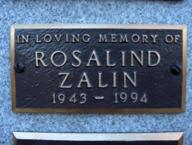 辛顿的冬与春(图43)