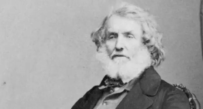 辛顿的冬与春(图9)