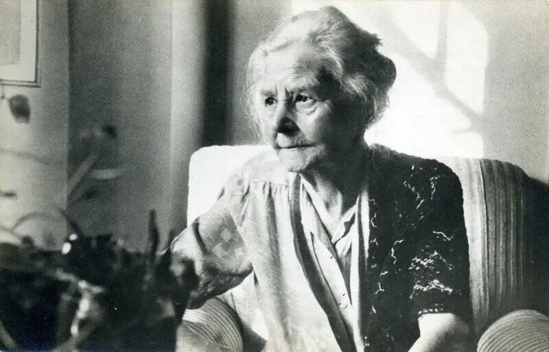 辛顿的冬与春(图10)