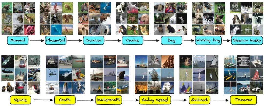 辛顿的冬与春(图46)