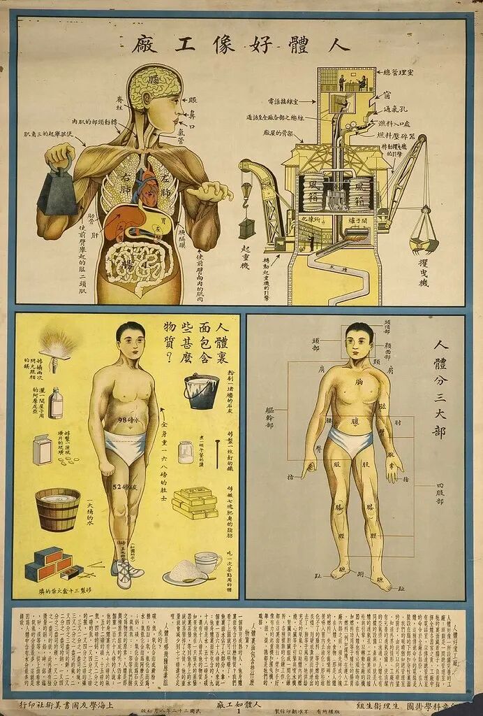 辛顿的冬与春(图15)