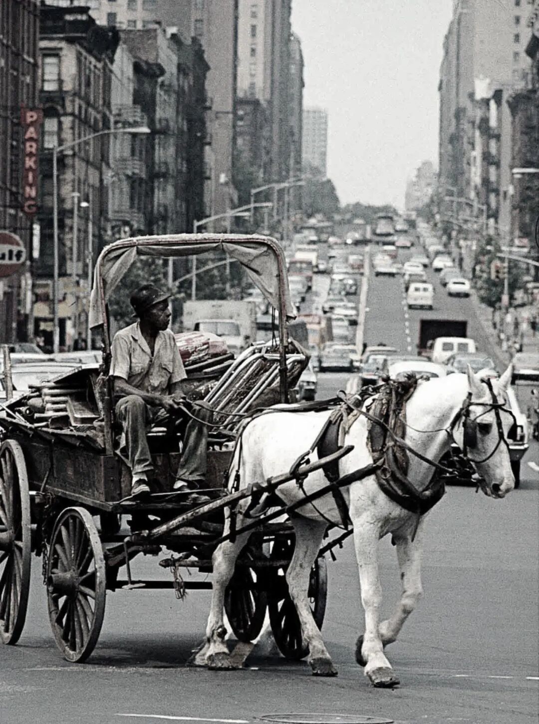 辛顿的冬与春(图5)