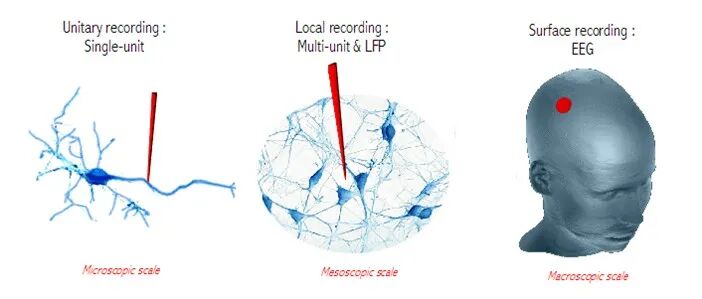 辛顿的冬与春(图23)