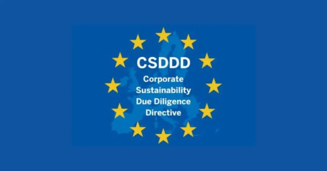 csddd-stars-featured-1200x630-opt