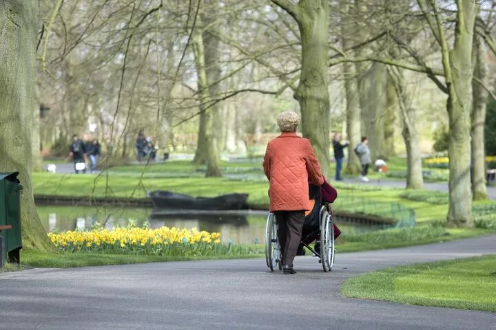 到家服务、社区多种经营、各大物企、中小物企、上海物博会、上海物业展、智慧物业、物业、物业展、物业管理、智慧城市